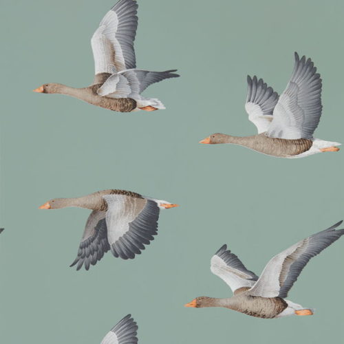 Elysian Geese 216610